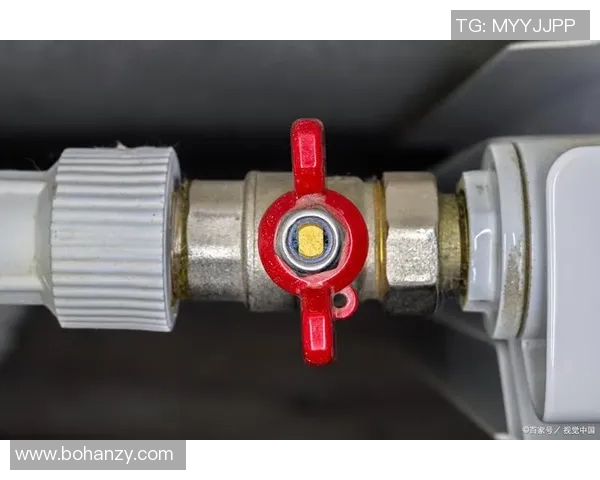 水管阀门选择与维护技巧详解，确保家庭供水系统安全高效运行